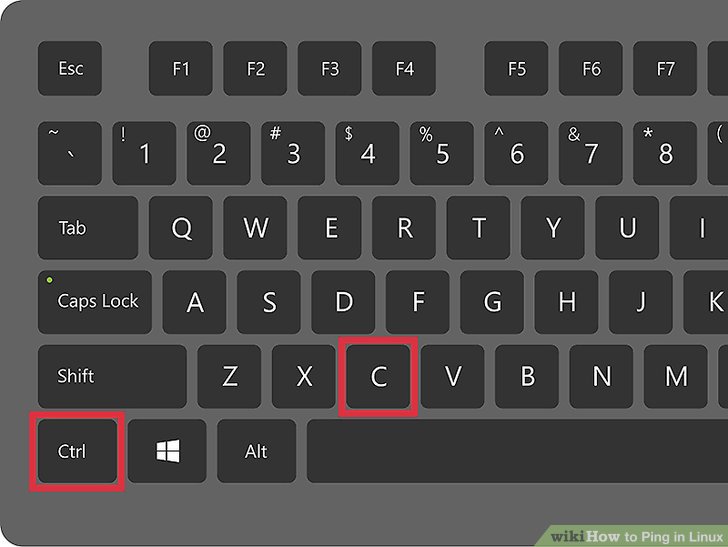 نحوه پینگ در لینوکس